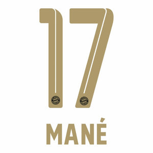 BAYERN MUNICH ESTAMPADO 2022-23 MANE 17 VISITA